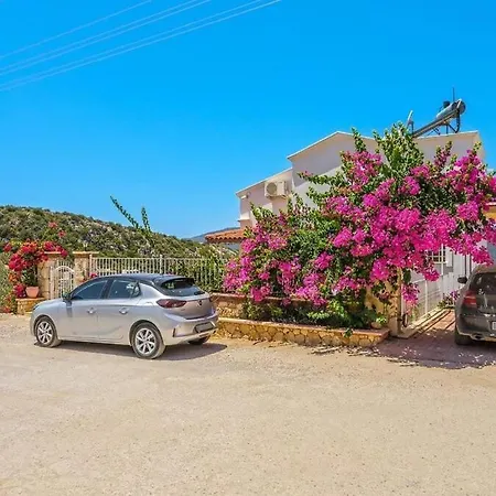 Villa White Star